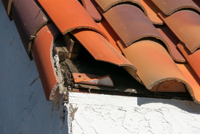 Gebroken dakpannen met daklekkage